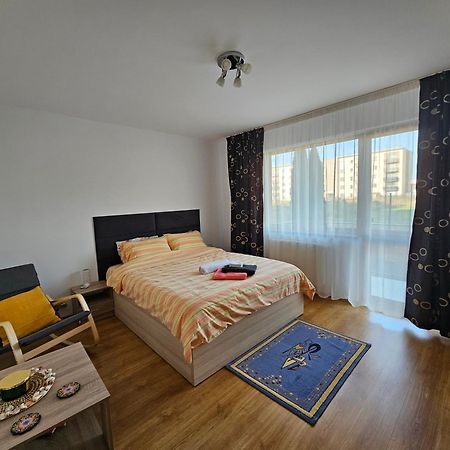 Elena'S Studio Brasov Coresi Екстериор снимка