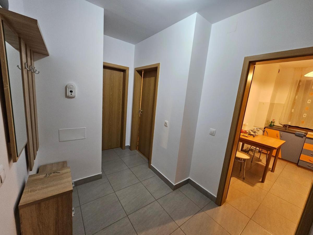 Elena'S Studio Brasov Coresi Екстериор снимка