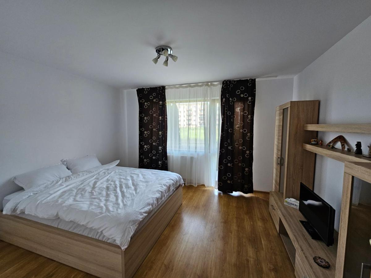 Elena'S Studio Brasov Coresi Екстериор снимка
